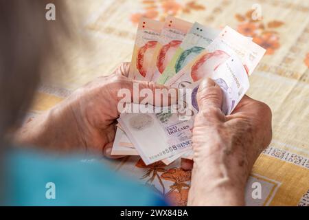 Bilancio familiare degli anziani a Singapore. Concetto economico, pensionato donna tiene in mano diversi dollari di Singapore, situazione finanziaria o Foto Stock