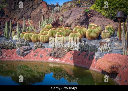 Una vista del Jardin de Cactus creato dall'artista locale Cesar Manrique a Lanzarote. Foto Stock