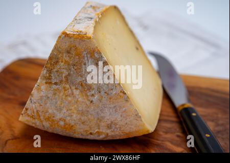 Pezzo di Ciambella Trufilo duro prodotto con tartufo estivo di latte vaccino piemontese nella zona di Langa, Italia Foto Stock