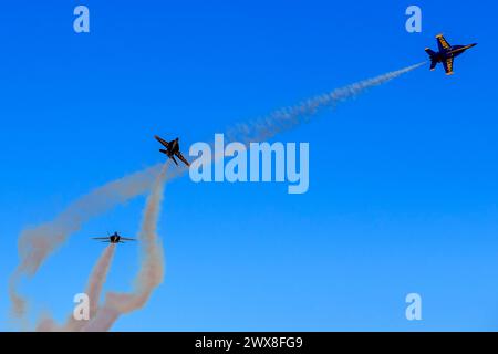 El Centro, CA, Stati Uniti. 1 marzo 2024. 1° marzo 2024 - El Centro, CA: I Blue Angels provano acrobazie di precisione prima del debutto stagionale, mostrando abilità e lavoro di squadra in manovre di alto livello. (Immagine di credito: © Kenneth Weisenberger Grindstone/ASP) SOLO PER USO EDITORIALE! Non per USO commerciale! Foto Stock