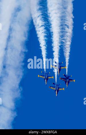 El Centro, CA, Stati Uniti. 1 marzo 2024. 1° marzo 2024 - El Centro, CA: I Blue Angels provano acrobazie di precisione prima del debutto stagionale, mostrando abilità e lavoro di squadra in manovre di alto livello. (Immagine di credito: © Kenneth Weisenberger Grindstone/ASP) SOLO PER USO EDITORIALE! Non per USO commerciale! Foto Stock