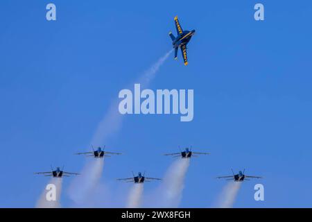 El Centro, CA, Stati Uniti. 1 marzo 2024. 1° marzo 2024 - El Centro, CA: I Blue Angels provano acrobazie di precisione prima del debutto stagionale, mostrando abilità e lavoro di squadra in manovre di alto livello. (Immagine di credito: © Kenneth Weisenberger Grindstone/ASP) SOLO PER USO EDITORIALE! Non per USO commerciale! Foto Stock