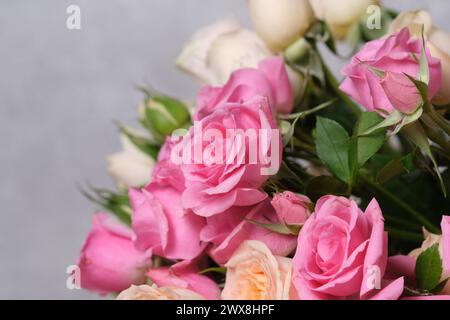 Bouquet di rose rosa su sfondo grigio, primo piano Foto Stock