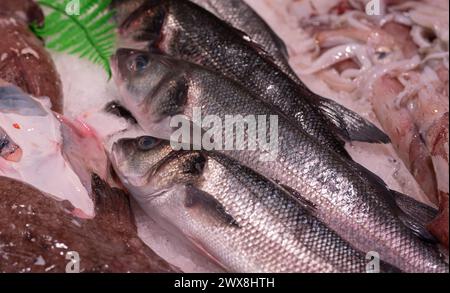 pesce esposto in pescheria Foto Stock