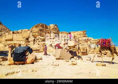 Autista di cammello vicino alle grandi Piramidi d'Egitto. Attrazioni turistiche, passeggiate a dorso di cammello. Giza, Egitto – 16 ottobre 2023 Foto Stock