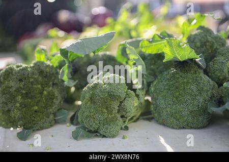 Broccoli al mercato agricolo Foto Stock