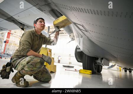 19 marzo 2024 - Youngstown Air Reserve Station, Ohio, Stati Uniti d'America - Senior Airman Khala Walls, un manutentore aerospaziale con il 910th Maintenance Squadron, fissa una porta truppe su un aereo C-130J-30 Super Hercules dalla Keesler Air Force base, Mississippi, visitando Youngstown Air Reserve Station, Ohio, 19 marzo 2024. I manutentori hanno modificato il C-130J-30 per testare l'operabilità dell'esclusivo sistema elettronico modulare di irrorazione aerea del 910th Airlift Wing a bordo della cellula mentre il 910th si prepara ad aggiornare la sua vecchia flotta C-130H Hercules ai nuovi modelli J. Il progetto è stato realizzato in collaborazione tra Foto Stock