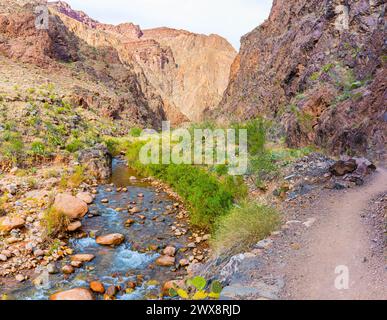 Bright Angel Creek accanto al North Kaibab Trail con The Box in lontananza, Grand Canyon National Park, Arizona, USA Foto Stock