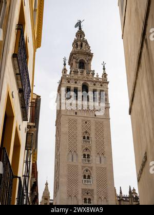 La Giralda, Cattedrale di Siviglia, Siviglia, Spagna Foto Stock