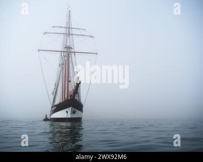 Ancon Bay, Perù. 28 marzo 2024. L'Oosterschelde, una magnifica goletta lunga 165 piedi e lunga 100 anni, ammiraglia del DARWIN200, una missione di conservazione planetaria di due anni a bordo della nave a vela che arrivò alla baia di Ancón e al porto di Callao in Perù, per la ricerca sulla conservazione e i programmi di leadership giovanile. Callao è il 12° dei 30 porti visitabili durante un viaggio di 40.000 miglia nautiche e una missione di conservazione, ripercorrendo il famoso viaggio del giovane Charles Darwin sulla HMS Beagle 200 anni fa Credit: Fotoholica Press Agency/Alamy Live News Foto Stock