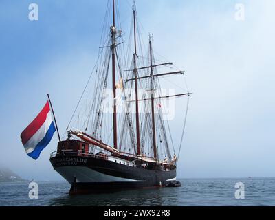 Ancon Bay, Perù. 28 marzo 2024. L'Oosterschelde, una magnifica goletta lunga 165 piedi e lunga 100 anni, ammiraglia del DARWIN200, una missione di conservazione planetaria di due anni a bordo della nave a vela che arrivò alla baia di Ancón e al porto di Callao in Perù, per la ricerca sulla conservazione e i programmi di leadership giovanile. Callao è il 12° dei 30 porti visitabili durante un viaggio di 40.000 miglia nautiche e una missione di conservazione, ripercorrendo il famoso viaggio del giovane Charles Darwin sulla HMS Beagle 200 anni fa Credit: Fotoholica Press Agency/Alamy Live News Foto Stock