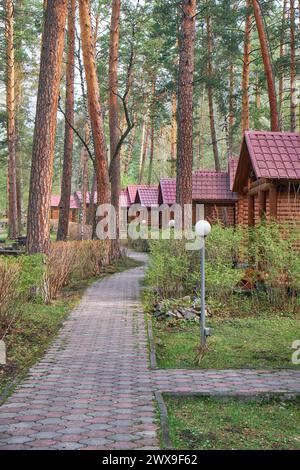 Campeggio turistico nella pineta di Altai. Case in legno - bungalow lungo un sentiero forestale con lanterne. Area turistica ricreativa. Foto Stock