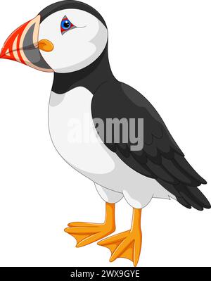 Illustrazione vettoriale di un cartone animato di puffin Atlantico isolato su sfondo bianco Illustrazione Vettoriale