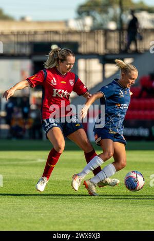 Adelaide, Australia. 29 marzo 2024. Adelaide, Australia, 29 marzo 2024: Dylan Holmes (16 Adelaide United) ed Elizabeth Copus-Brown (10 Newcastle Jets) combattono per il pallone/duello durante la partita della Liberty A-League tra Adelaide United e Newcastle Jets al Coopers Stadium di Adelaide, Australia. (NOE Llamas/SPP) credito: SPP Sport Press Photo. /Alamy Live News Foto Stock