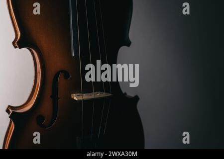 vista ravvicinata di un violino e delle ombre Foto Stock