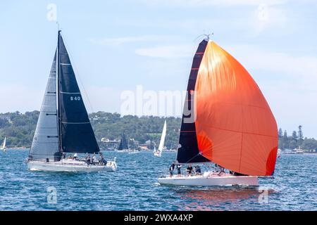 Regate di yacht nel porto di Sydney, a North Sydney, Sydney, New South Wales, Australia Foto Stock