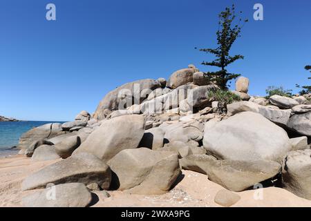 Spiaggia di Arthur Bay con rocce di granito sotto il cielo azzurro, tipica di Magnetic Island, Queensland, Australia Foto Stock