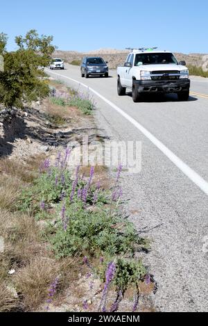 Auto che attraversano il parco statale Anza-Borrego in California Foto Stock