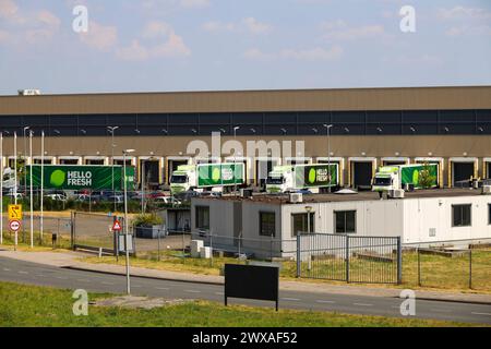 Magazzino e centro di distribuzione dell'azienda di consegna dei pasti Hello Fresh a Bleiswijk, Paesi Bassi Foto Stock