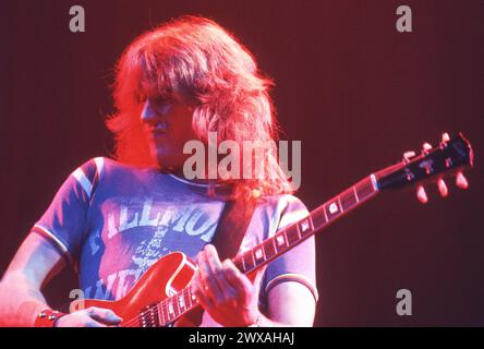 Alvin Lee di dieci anni dopo Foto Stock