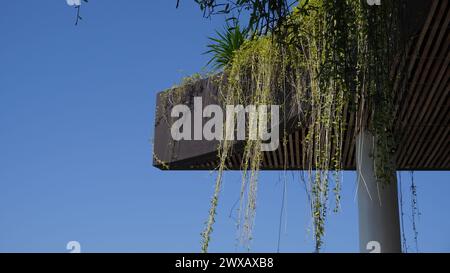 Viti sul tetto che si infrangono durante il giorno Foto Stock