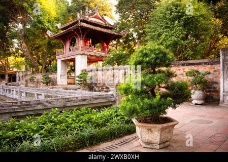 Edificio asiatico con tradizionale albero di bonsai ad Hanoi Vietnam Foto Stock