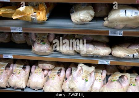 filiale del supermercato waitrose, interni, città di ramsgate, kent orientale, regno unito marzo 2024 Foto Stock