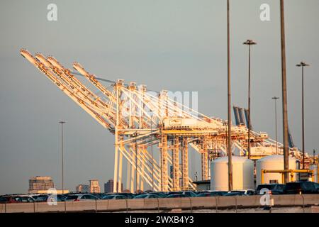 Baltimora, Stati Uniti. 29 marzo 2024. Gru e veicoli sono visibili al Dundalk Marine Terminal venerdì 29 marzo 2024 a Baltimora, MD. Il crollo del Francis Scott Key Bridge ha messo una pausa su tutte le entrate e le uscite delle navi dal porto fino a quando i detriti del ponte non possono essere rimossi dal fiume Patapsco. (Foto di Wesley Lapointe/Sipa USA) credito: SIPA USA/Alamy Live News Foto Stock