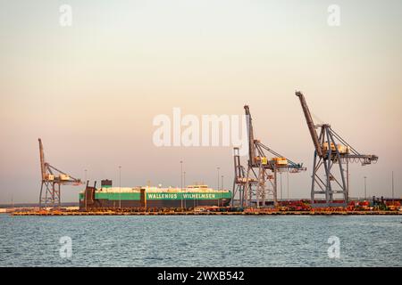 Baltimora, Stati Uniti. 29 marzo 2024. Gru e una nave sono viste al Dundalk Marine Terminal venerdì 29 marzo 2024 a Baltimora, MD. Il crollo del Francis Scott Key Bridge ha messo una pausa su tutte le entrate e le uscite delle navi dal porto fino a quando i detriti del ponte non possono essere rimossi dal fiume Patapsco. (Foto di Wesley Lapointe/Sipa USA) credito: SIPA USA/Alamy Live News Foto Stock