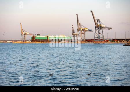 Baltimora, Stati Uniti. 29 marzo 2024. Gru e una nave sono viste al Dundalk Marine Terminal venerdì 29 marzo 2024 a Baltimora, MD. Il crollo del Francis Scott Key Bridge ha messo una pausa su tutte le entrate e le uscite delle navi dal porto fino a quando i detriti del ponte non possono essere rimossi dal fiume Patapsco. (Foto di Wesley Lapointe/Sipa USA) credito: SIPA USA/Alamy Live News Foto Stock