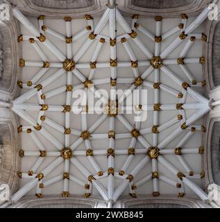 L'attraversamento, York Minster Cathedral, York, Inghilterra Foto Stock