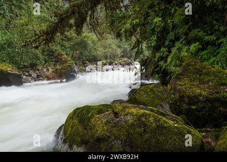 Fiume Papallacta, zona di Papallacta, Ecuador Ande, Ecuador, Sud America Foto Stock