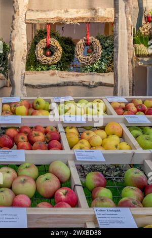 Presentazione di diverse varietà di mele, Renania-Palatinato, Germania Foto Stock