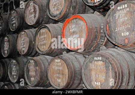 Calem, cantina portuale, Vila Nova da Gaia, Porto, pila di botti di legno in una cantina di stoccaggio scura con etichetta, Porto, Portogallo settentrionale, Portogallo Foto Stock