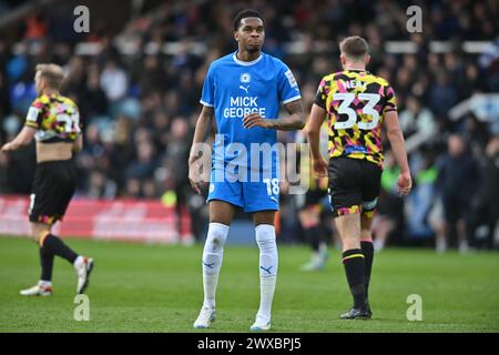 Malik Mothersille (18 Peterborough United) guarda durante la partita Sky Bet League 1 tra Peterborough e Carlisle United a London Road, Peterborough, venerdì 29 marzo 2024. (Foto: Kevin Hodgson | mi News) crediti: MI News & Sport /Alamy Live News Foto Stock