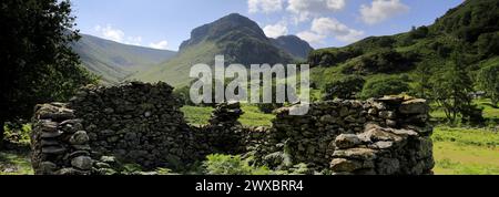 Vista sulla valle di Stonethwaite, Allerdale, Lake District National Park, Cumbria, Inghilterra, Regno Unito Foto Stock