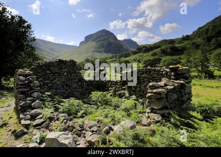 Vista sulla valle di Stonethwaite, Allerdale, Lake District National Park, Cumbria, Inghilterra, Regno Unito Foto Stock