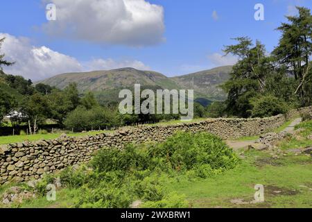 Vista sulla valle di Stonethwaite, Allerdale, Lake District National Park, Cumbria, Inghilterra, Regno Unito Foto Stock