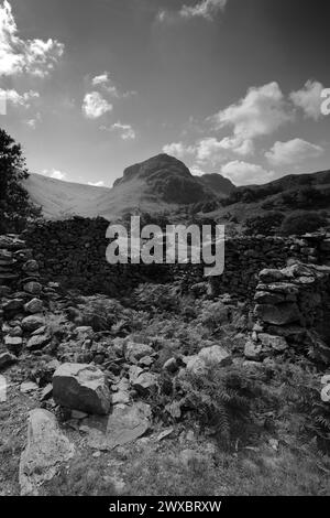 Vista sulla valle di Stonethwaite, Allerdale, Lake District National Park, Cumbria, Inghilterra, Regno Unito Foto Stock