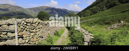 Vista sulla valle di Stonethwaite, Allerdale, Lake District National Park, Cumbria, Inghilterra, Regno Unito Foto Stock