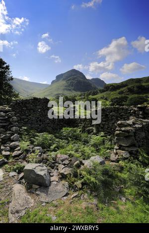 Vista sulla valle di Stonethwaite, Allerdale, Lake District National Park, Cumbria, Inghilterra, Regno Unito Foto Stock