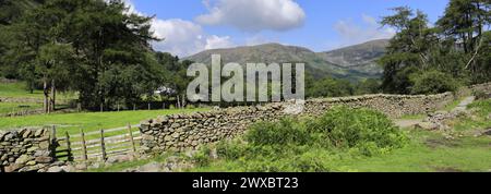 Vista sulla valle di Stonethwaite, Allerdale, Lake District National Park, Cumbria, Inghilterra, Regno Unito Foto Stock