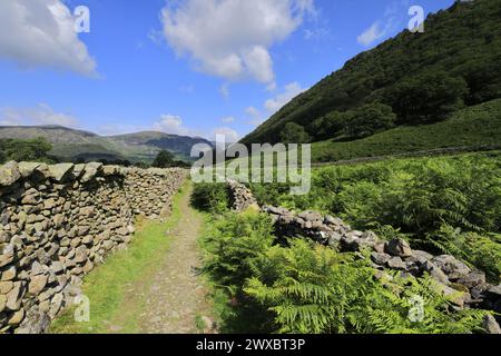 Vista sulla valle di Stonethwaite, Allerdale, Lake District National Park, Cumbria, Inghilterra, Regno Unito Foto Stock