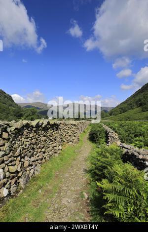 Vista sulla valle di Stonethwaite, Allerdale, Lake District National Park, Cumbria, Inghilterra, Regno Unito Foto Stock