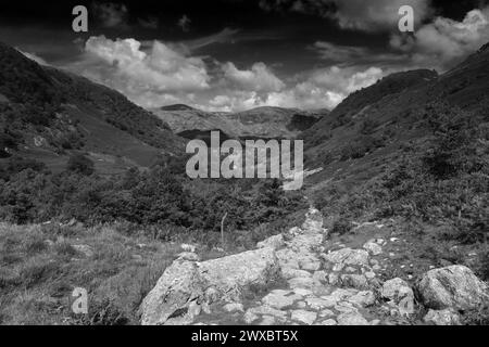 Vista sulla valle di Stonethwaite, Allerdale, Lake District National Park, Cumbria, Inghilterra, Regno Unito Foto Stock