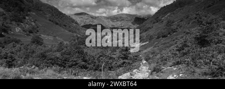 Vista sulla valle di Stonethwaite, Allerdale, Lake District National Park, Cumbria, Inghilterra, Regno Unito Foto Stock