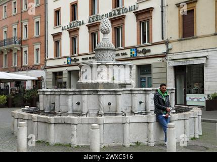 Fontana di Pigna a Rimini in Emilia Romagna Foto Stock