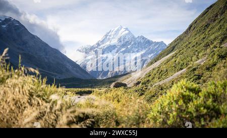 Massiccia montagna innevata con ghiacciaio che torreggia sopra la panoramica valle alpina, Mt Cook, nuova Zelanda. Foto Stock