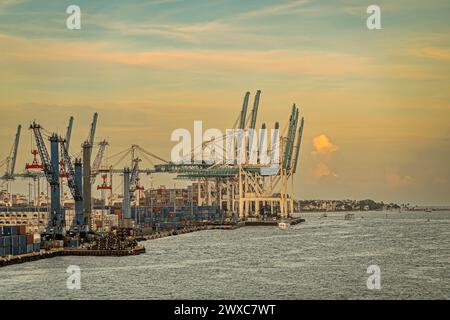 Miami, Florida, Stati Uniti - 29 luglio 2023: Le gru del terminal container nel porto lungo la banchina. Pile di contenitori nella parte posteriore. I condomini di Fisher Island sono accesi Foto Stock