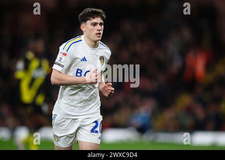 WATFORD, Regno Unito - 29 marzo 2024: Daniel James del Leeds United durante la partita del campionato EFL tra Watford FC e Leeds United a Vicarage Road (credito: Craig Mercer/ Alamy Live News) Foto Stock